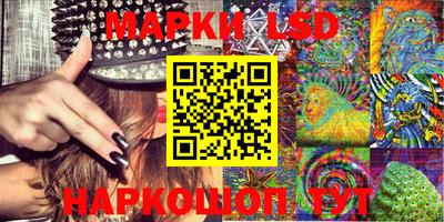 крисы Славгород