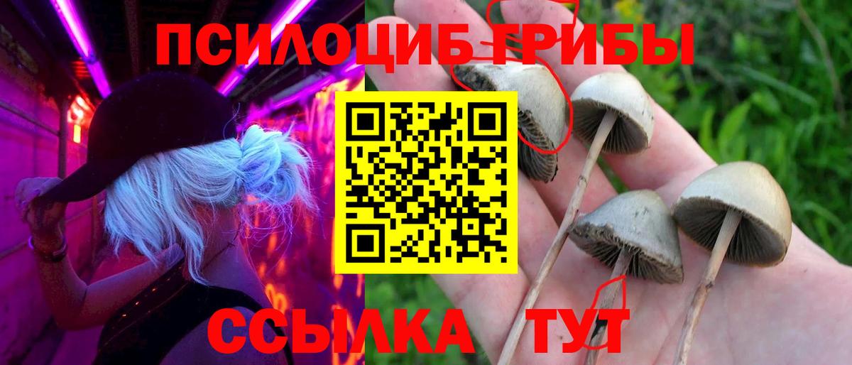даркнет сайт  Вход с VPN  Полысаево  Галлюциногенные грибы MAGIC MUSHROOMS 